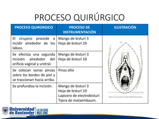 PROCESO QUIRÚRGICO
PROCESO QUIRÚRGICO PROCESO DE
INSTRUMENTACIÓN
ILUSTRACIÓN
El cirujano procede a
incidir alrededor de los
labios.
Mango de bisturí 3
Hoja de bisturí 10
Se efectúa una segunda
incisión alrededor del
orificio vaginal y uretral.
Mango de bisturí 3
Hoja de bisturí 10
Se colocan varias pinzas
sobre los bordes de piel y
se traccionan hacia arriba.
Pinza allix
Se profundiza la incisión. Mango de bisturí 3
Hoja de bisturí 10
Lapicero de electrobisturí
Tijera de metzembaum.
 
