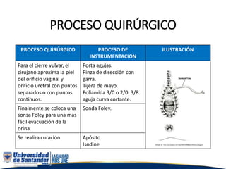 PROCESO QUIRÚRGICO
PROCESO QUIRÚRGICO PROCESO DE
INSTRUMENTACIÓN
ILUSTRACIÓN
Para el cierre vulvar, el
cirujano aproxima la piel
del orificio vaginal y
orificio uretral con puntos
separados o con puntos
continuos.
Porta agujas.
Pinza de disección con
garra.
Tijera de mayo.
Poliamida 3/0 o 2/0. 3/8
aguja curva cortante.
Finalmente se coloca una
sonsa Foley para una mas
fácil evacuación de la
orina.
Sonda Foley.
Se realiza curación. Apósito
Isodine
 