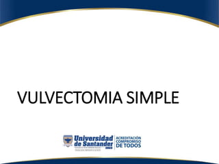 VULVECTOMIA SIMPLE
 