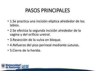 PASOS PRINCIPALES
• 1.Se practica una incisión elíptica alrededor de los
labios.
• 2.Se efectúa la segunda incisión alrededor de la
vagina y del orificio uretral.
• 3.Resección de la vulva en bloque.
• 4.Refuerzo del piso perineal mediante suturas.
• 5.Cierre de la herida.
 