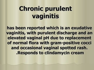 Chronic purulent vaginitis has been reported which is an exudative vaginitis, with purulent discharge and an elevated vaginal pH due to replacement of normal flora with gram-positive cocci and occasional vaginal spotted rash. Responds to clindamycin cream.   