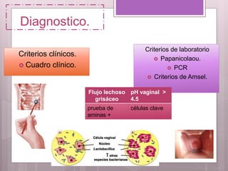 Diagnostico.
Criterios clínicos.
 Cuadro clínico.
Criterios de laboratorio
 Papanicolaou.
 PCR
 Criterios de Amsel.
Flujo lechoso
grisáceo
pH vaginal >
4.5
prueba de
aminas +
células clave
 