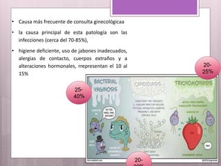 • Causa más frecuente de consulta ginecológicaa
• la causa principal de esta patología son las
infecciones (cerca del 70-85%),
• higiene deficiente, uso de jabones inadecuados,
alergias de contacto, cuerpos extraños y a
alteraciones hormonales, rrepresentan el 10 al
15%
 