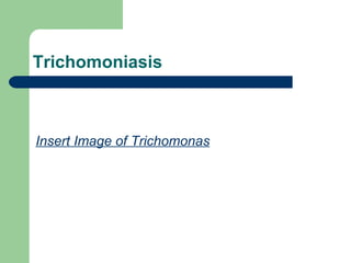 Trichomoniasis Insert Image of Trichomonas 