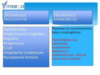 Diphtheriodes
Staphycococci Coagulasa
Negativo
Streptococci
E Coli
Ureaplasma Urealyticum
Mycoplasma Hominis
ORGANISMOS
FACULTATIVOS
Presentes en concentraciones
bajas, no patogénicas
Peptostreptococus
Bacteroides
Fusobaterium
Mobiluncus
Gardnerella (40% - 60%) en
secreciones normales
ORGANISMOS
ANAEROBICOS
 