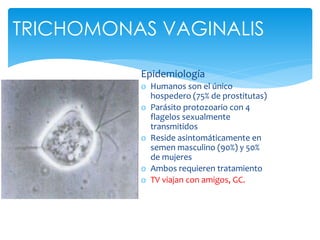 TRICHOMONAS VAGINALIS
Epidemiología
o Humanos son el único
hospedero (75% de prostitutas)
o Parásito protozoario con 4
flagelos sexualmente
transmitidos
o Reside asintomáticamente en
semen masculino (90%) y 50%
de mujeres
o Ambos requieren tratamiento
o TV viajan con amigos, GC.
 