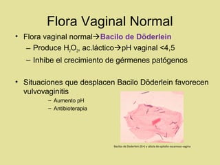 Vulvovaginitis | PPT | Medical Health