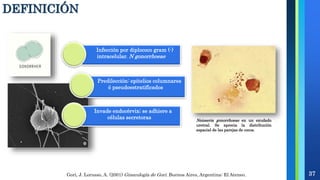 Neisseria gonorrhoeae en un exudado
uretral. Se aprecia la distribución
espacial de las parejas de cocos.
Infección por diplococo gram (-)
intracelular. N gonorrhoeae
Predilección: epitelios columnares
ó pseudoestratificados
Invade endocérvix; se adhiere a
células secretoras
Gori, J. Lorusso, A. (2001) Ginecología de Gori. Buenos Aires, Argentina: El Ateneo. 37
DEFINICIÓN
 