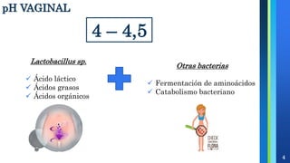 pH VAGINAL
4
Lactobacillus sp.
 Ácido láctico
 Ácidos grasos
 Ácidos orgánicos
Otras bacterias
 Fermentación de aminoácidos
 Catabolismo bacteriano
4 – 4,5
 