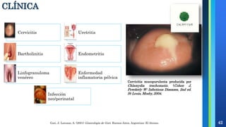 Cervicitis mucopurulenta producida por
Chlamydia trachomatis. (Cohen J,
Powderly W: Infectious Diseases, 2nd ed.
St Louis, Mosby, 2004.
Cervicitis Uretritis
Bartholinitis Endometritis
Linfogranuloma
venéreo
Enfermedad
inflamatoria pélvica
Infección
neo/perinatal
Gori, J. Lorusso, A. (2001) Ginecología de Gori. Buenos Aires, Argentina: El Ateneo.
CLÍNICA
42
 