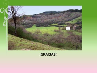 ¡GRACIAS!
 