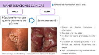 MANIFESTACIONES CLINICAS
Pápula eritematosa
que se convierte en
pústula
Se ulcera en 48 h
PAPULA ÚLCERA
periodo de incubación 3 a 10 días
• Úlceras de bordes irregulares y
eritematosa
• Dolorosas y no induradas.
• Fondo de las úlceras granulosas, de color
rojo
• Se cubren de material purulento y, si se
infectan de manera secundaria, son
fétidas
• 50% linfadenopatía inguinal unilateral o
bilateral dolorosa
Williams Ginecología. 3e. Hoffman B, Schorge J, Bradshaw K, Halvorson L.. Edit McGraw Hill. EEUU, 2013
 