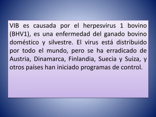 VIB es causada por el herpesvirus 1 bovino
(BHV1), es una enfermedad del ganado bovino
doméstico y silvestre. El virus está distribuido
por todo el mundo, pero se ha erradicado de
Austria, Dinamarca, Finlandia, Suecia y Suiza, y
otros países han iniciado programas de control.
 