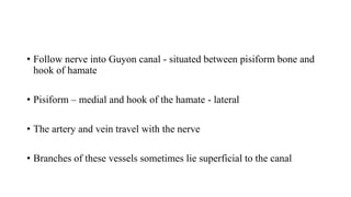 • Follow nerve into Guyon canal - situated between pisiform bone and
hook of hamate
• Pisiform – medial and hook of the hamate - lateral
• The artery and vein travel with the nerve
• Branches of these vessels sometimes lie superficial to the canal
 