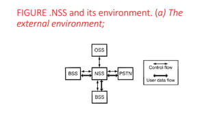 FIGURE .NSS and its environment. (a) The
external environment;
 