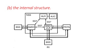 (b) the internal structure.
 
