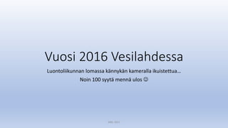 Vuosi 2016 Vesilahdessa
Luontoliikunnan lomassa kännykän kameralla ikuistettua…
Noin 100 syytä mennä ulos 
MM, 2017
 