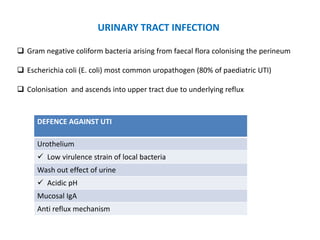  Gram negative coliform bacteria arising from faecal flora colonising the perineum
 Escherichia coli (E. coli) most common uropathogen (80% of paediatric UTI)
 Colonisation and ascends into upper tract due to underlying reflux
URINARY TRACT INFECTION
DEFENCE AGAINST UTI
Urothelium
 Low virulence strain of local bacteria
Wash out effect of urine
 Acidic pH
Mucosal IgA
Anti reflux mechanism
 