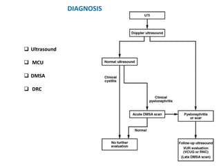 DIAGNOSIS
 Ultrasound
 MCU
 DMSA
 DRC
 