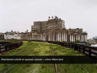 Abandaned unbuilt or sparsely spaces – urban fallow land