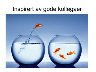 Inspirert av gode kollegaer  