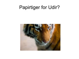 Papirtiger for Udir? 
