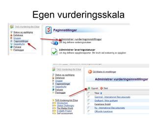 Egen vurderingsskala 