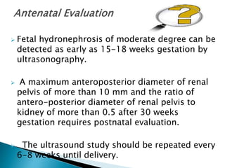  Fetal hydronephrosis of moderate degree can be
detected as early as 15-18 weeks gestation by
ultrasonography.
 A maximum anteroposterior diameter of renal
pelvis of more than 10 mm and the ratio of
antero-posterior diameter of renal pelvis to
kidney of more than 0.5 after 30 weeks
gestation requires postnatal evaluation.
 The ultrasound study should be repeated every
6-8 weeks until delivery.
 