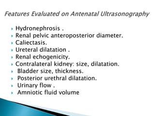  Hydronephrosis .
 Renal pelvic anteroposterior diameter.
 Caliectasis.
 Ureteral dilatation .
 Renal echogenicity.
 Contralateral kidney: size, dilatation.
 Bladder size, thickness.
 Posterior urethral dilatation.
 Urinary flow .
 Amniotic fluid volume
 
