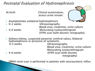 At birth Clinical examination,
assess urine stream.
 Asymptomatic unilateral hydronephrosis
 0–2 weeks Ultrasonography
Blood urea, creatinine; urine culture
 4–6 weeks Micturating cystourethrogram
DTPA scan (with diuretic renography).
 Solitary kidney, suspected posterior urethral valves, bilateral
hydronephrosis or presence of symptoms
0–2 weeks Ultrasonography
Blood urea, creatinine; urine culture
Micturating cystourethrogram
 4–6 weeks DTPA scan (with diuretic
renography)
 DMSA renal scan is performed in patients with vesicoureteric reflux
 