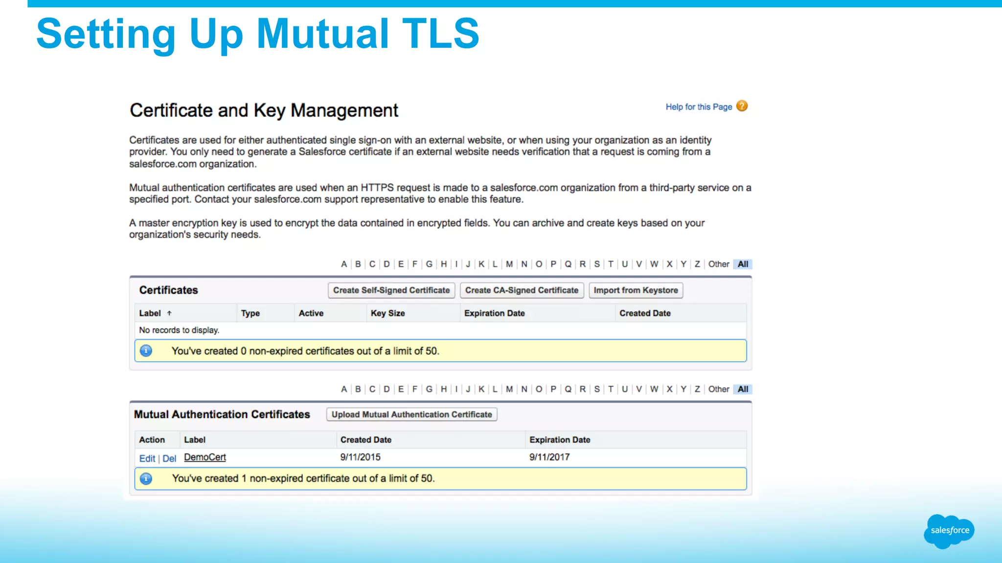 Setting Up Mutual TLS 