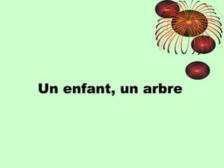 Un enfant, un arbre 