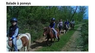 Balade à poneys
 