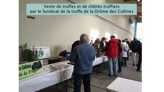 Vente de truffes et de chênes truffiers
par le Syndicat de la truffe de la Drôme des Collines
 
