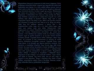 • Megtöröltem könnyező szemeimet és erőt vettem magamon. Futva
elindultam a kunyhók között, mígnem egy nagyobb utca kikövezett
burkolatára nem léptem. Ez a hely sokkal jobban tetszett, mint az
előző szűk és sötét sikátor, ahol olyan érzése támadt az embernek,
hogy bármelyik percben rávetheti magát egy gyilkos. Minduntalan
egy valami járt a fejemben. A vízpart, vagyis a Nílus. Az egyetlen
támpontom. A belsőmben lévő zűrzavar, még mindig hitt abban,
hogy rátalálok a pályaudvarra és szépen haza megyek, de a jelen
realitása mást diktált és kezdtem elhinni, hogy nem a saját
világomban vagyok. Ha pedig ez igaz, akkor csak egyetlen esélyem
van a kijutásra, az pedig nem más, mint az az út, ahogy ide jöttem.
Talán meg kell találnom ugyanazt a helyet, ahol a fiút
megmentettem. Lehet, hogy van a víz alatt valami kapu, vagy
átjáró amit emberi szem nem láthat. Elhatároztam, hogy
megkeresem ezt a helyet. Elindultam a legvalószínűbb úton, ami a
part felé vezethet. Természetesen eltévedtem, így valami térre
jutottam. A tér tökéletes kör alakban terült el a homokos talajon,
aminek végét és egyben kezdetét is az ég felé törekvő hófehér
oszlopok jelezték. Legalább három ember szükséges, ahhoz hogy
átérje. Az oszlopok az első centimétertől az utolsóig fel voltak
díszítve, különböző hieroglifák vésetével. Legalább kilenc ilyen
óriást láttam. A tér közepén egy lépcsős emelvény rostokolt. Első
ránézésre is megtudtam állapítani, hogy bizony nagy idők tanúja
lehetett. Ha meg kellene becsülnöm a korát, körülbelül ezer évre
tenném. Fáradtan éreztem magam és a kezem is zsibbadt Kuka
súlya alatt, úgyhogy letelepedtem a lépcső szélére. Megörültem,
amikor előbújt a csillagom és megláttam a földöntúli fényét.
Nagyanyus és apa csillaga is ott szunnyadt mellette. Végre valami,
amit tudok és ismerek. Egy biztos pont, ami azt jelzi, hogy itt
vagyok és nem álmodom. Ahogy a sejtelmes fény sütött a kopár
vidékre, megvilágított néhány házat a távolban. Biztosra vettem,
hogy embereket látok az ablakokban mozgolódni.
16
 