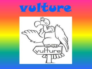 vulture
 