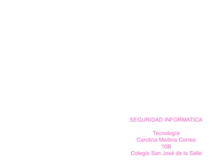 SEGURIDAD INFORMATICA

         Tecnología
  Carolina Medina Correa
            10B
Colegio San José de la Salle
 