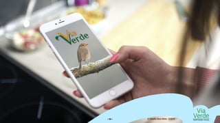 Via
VerdeIDENTIDADE VISUAL© Claudio Diniz Alves - 3/2019« 36 »
 