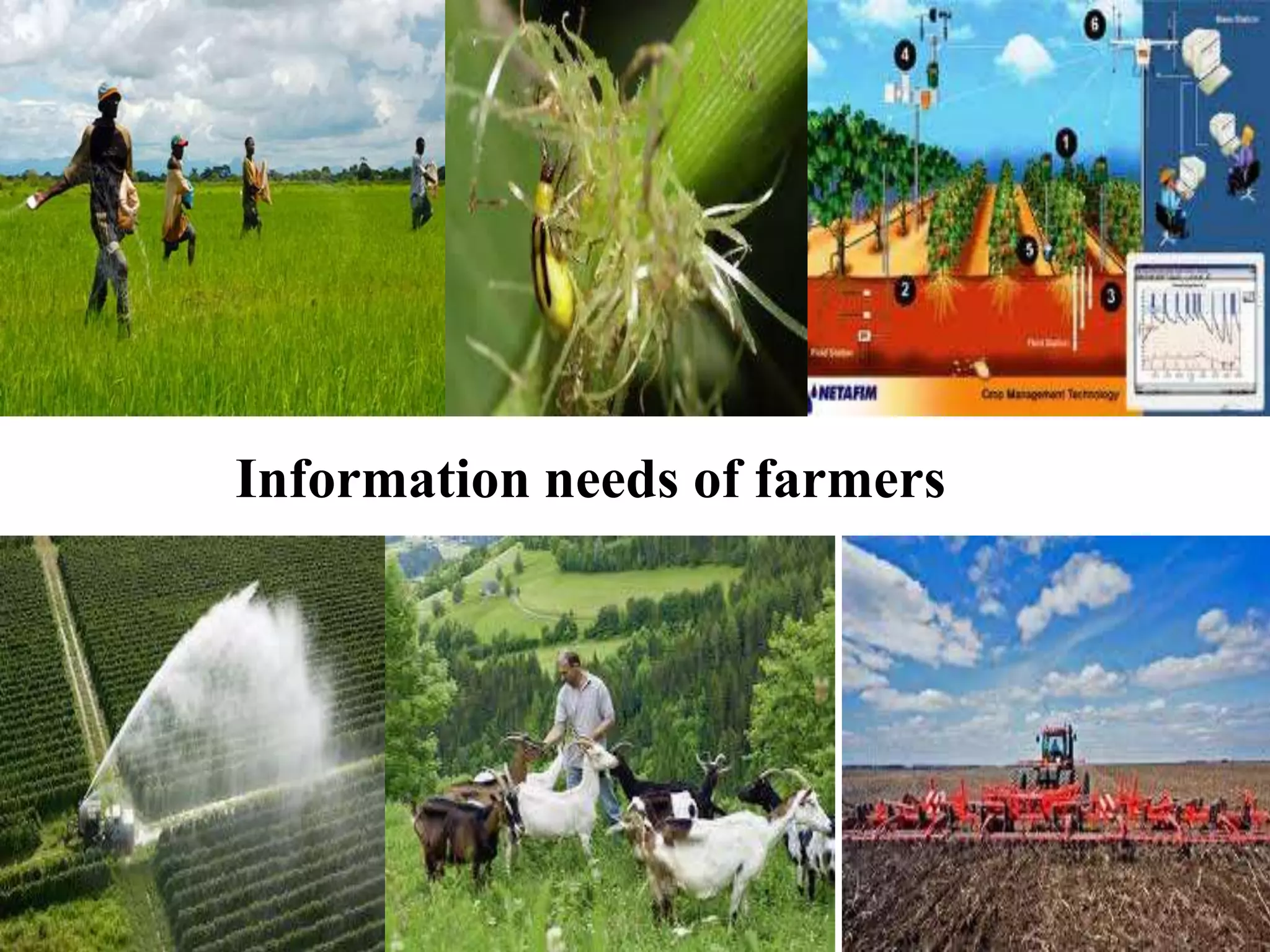 Information needs of farmers
 