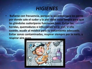 HIGIENES
• Bañarse con frecuencia, porque la suciedad tapa los poros
por donde sale el sudor y la piel debe estar limpia para que
las glándulas sudoríparas funcionen bien. Evitar las
heridas, quemaduras o infecciones en la piel, si ello
sucede, acudir al médico para su tratamiento adecuado.
Evitar zonas contaminadas, respirar siempre por la nariz, y
respirar aire puro.
 