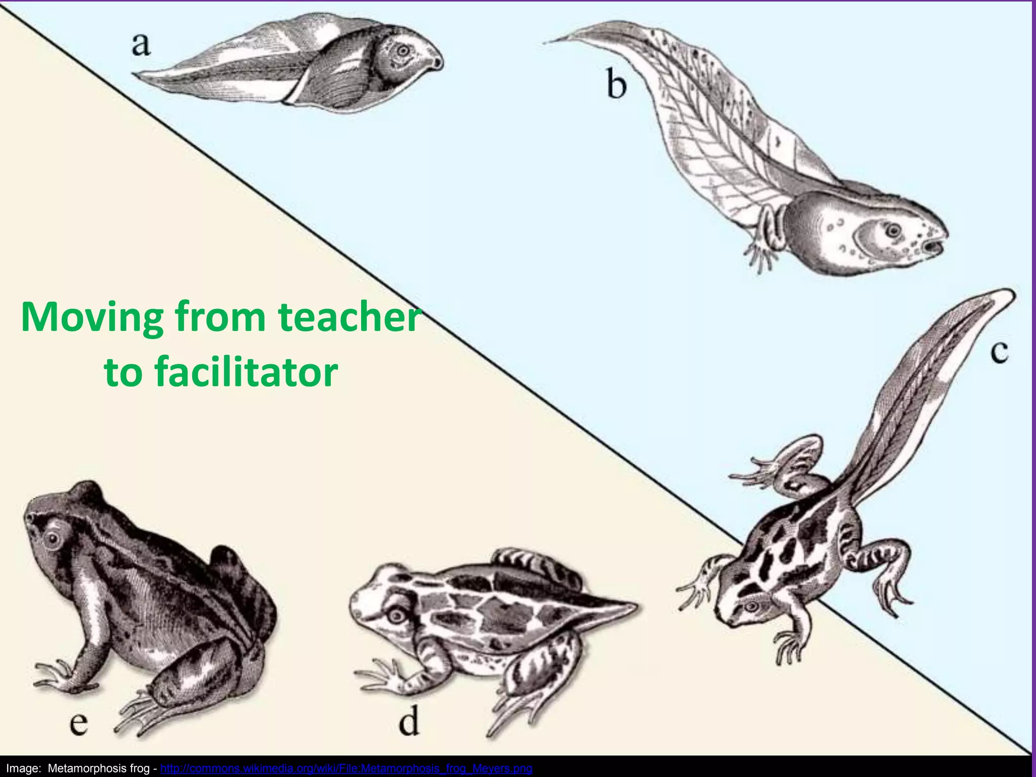 Moving from teacher
to facilitator

Image: Metamorphosis frog - http://commons.wikimedia.org/wiki/File:Metamorphosis_frog_Meyers.png

 