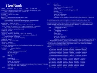 GenBankLOCUS SCU49845 5028 bp DNA PLN 21-JUN-1999
DEFINITION Saccharomyces cerevisiae TCP1-beta gene, partial cds, and Axl2p
(AXL2) and Rev7p (REV7) genes, complete cds.
ACCESSION U49845
VERSION U49845.1 GI:1293613
KEYWORDS .
SOURCE Saccharomyces cerevisiae (baker's yeast)
ORGANISM Saccharomyces cerevisiae
Eukaryota; Fungi; Ascomycota; Saccharomycotina; Saccharomycetes;
Saccharomycetales; Saccharomycetaceae; Saccharomyces.
REFERENCE 1 (bases 1 to 5028)
AUTHORS Torpey,L.E., Gibbs,P.E., Nelson,J. and Lawrence,C.W.
TITLE Cloning and sequence of REV7, a gene whose function is required for
DNA damage-induced mutagenesis in Saccharomyces cerevisiae
JOURNAL Yeast 10 (11), 1503-1509 (1994)
PUBMED 7871890
REFERENCE 2 (bases 1 to 5028)
AUTHORS Roemer,T., Madden,K., Chang,J. and Snyder,M.
TITLE Selection of axial growth sites in yeast requires Axl2p, a novel
plasma membrane glycoprotein
JOURNAL Genes Dev. 10 (7), 777-793 (1996)
PUBMED 8846915
REFERENCE 3 (bases 1 to 5028)
AUTHORS Roemer,T.
TITLE Direct Submission
JOURNAL Submitted (22-FEB-1996) Terry Roemer, Biology, Yale University, New
Haven, CT, USA
FEATURES Location/Qualifiers
source 1..5028
/organism="Saccharomyces cerevisiae"
/db_xref="taxon:4932"
/chromosome="IX"
/map="9"
CDS <1..206
/codon_start=3
/product="TCP1-beta"
/protein_id="AAA98665.1"
/db_xref="GI:1293614"
/translation="SSIYNGISTSGLDLNNGTIADMRQLGIVESYKLKRAVVSSASEA
AEVLLRVDNIIRARPRTANRQHM"
gene 687..3158
/gene="AXL2"
CDS 687..3158
/gene="AXL2"
/note="plasma membrane glycoprotein"
/codon_start=1
/function="required for axial budding pattern of S.
cerevisiae"
/product="Axl2p"
/protein_id="AAA98666.1"
/db_xref="GI:1293615"
/translation="MTQLQISLLLTATISLLHLVVATPYEAYPIGKQYPPVARVNESF
TFQISNDTYKSSVDKTAQITYNCFDLPSWLSFDSSSRTFSGEPSSDLLSDANTTLYFN
------------------------------------------//---------------------------------------------------------
YGSQKTVDTEKLFDLEAPEKEKRTSRDVTMSSLDPWNSNISPSPVRKSVTPSPYNVTK
RNRHLQNIQDSQSGKNGITPTTMSTSSSDDFVPVKDGENFCWVHSMEPDRRPSKKRL
VDFSNKSNVNVGQVKDIHGRIPEML"
gene complement(3300..4037)
/gene="REV7"
CDS complement(3300..4037)
/gene="REV7"
/codon_start=1
/product="Rev7p"
/protein_id="AAA98667.1"
/db_xref="GI:1293616"
/translation="MNRWVEKWLRVYLKCYINLILFYRNVYPPQSFDYTTYQSFNLPQ
FVPINRHPALIDYIEELILDVLSKLTHVYRFSICIINKKNDLCIEKYVLDFSELQHVD
KDDQIITETEVFDEFRSSLNSLIMHLEKLPKVNDDTITFEAVINAIELELGHKLDRNR
RVDSLEEKAEIERDSNWVKCQEDENLPDNNGFQPPKIKLTSLVGSDVGPLIIHQFSEK
LISGDDKILNGVYSQYEEGESIFGSLF"
ORIGIN
1 gatcctccat atacaacggt atctccacct caggtttaga tctcaacaac ggaaccattg
61 ccgacatgag acagttaggt atcgtcgaga gttacaagct aaaacgagca gtagtcagct
121 ctgcatctga agccgctgaa gttctactaa gggtggataa catcatccgt gcaagaccaa
181 gaaccgccaa tagacaacat atgtaacata tttaggatat acctcgaaaa taataaaccg
241 ccacactgtc attattataa ttagaaacag aacgcaaaaa ttatccacta tataattcaa
301 agacgcgaaa aaaaaagaac aacgcgtcat agaacttttg gcaattcgcg tcacaaataa
------------------------------------------//----------------------------------------------
4621 tcttcgcact tcttttccca ttcatctctt tcttcttcca aagcaacgat ccttctaccc
4681 atttgctcag agttcaaatc ggcctctttc agtttatcca ttgcttcctt cagtttggct
4741 tcactgtctt ctagctgttg ttctagatcc tggtttttct tggtgtagtt ctcattatta
4801 gatctcaagt tattggagtc ttcagccaat tgctttgtat cagacaattg actctctaac
4861 ttctccactt cactgtcgag ttgctcgttt ttagcggaca aagatttaat ctcgttttct
4921 ttttcagtgt tagattgctc taattctttg agctgttctc tcagctcctc atatttttct
4981 tgccatgact cagattctaa ttttaagcta ttcaatttct ctttgatc
//
 