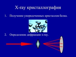 X-ray кристаллография
1. Получение упорядоченных кристаллов белка.
2. Определение дифракции x-ray.
 