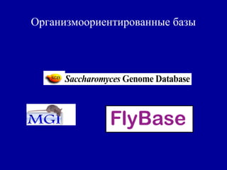 Организмоориентированные базы
 
