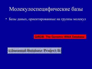 Молекулоспецифические базы
• Базы даных, ориентированные на группы молекул
GtRDB: The Genomic tRNA Database
 
