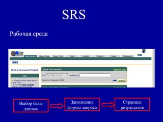 SRS
Рабочая среда
Выбор базы
данных
Заполнение
формы запроса
Страница
результатов
 