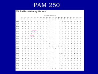 PAM 250
 