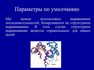 Параметры по умолчанию
Мы можем использовать выравнвание
последовательностей, базирующееся на структурном
выравнивании. В этом случае структурное
выравнивание является «правильным» для наших
целей
 
