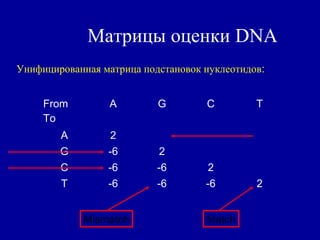 Матрицы оценки DNA
Унифицированная матрица подстановок нуклеотидов:
From
To
A G C T
A 2
G -6 2
C -6 -6 2
T -6 -6 -6 2
MatchMismatch
 