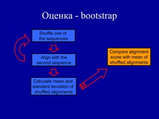 Оценка - bootstrap
Shuffle one of
the sequences
Align with the
second sequence
Calculate mean and
standard deviation of
shuffled alignments
Compare alignment
score with mean of
shuffled alignments
 